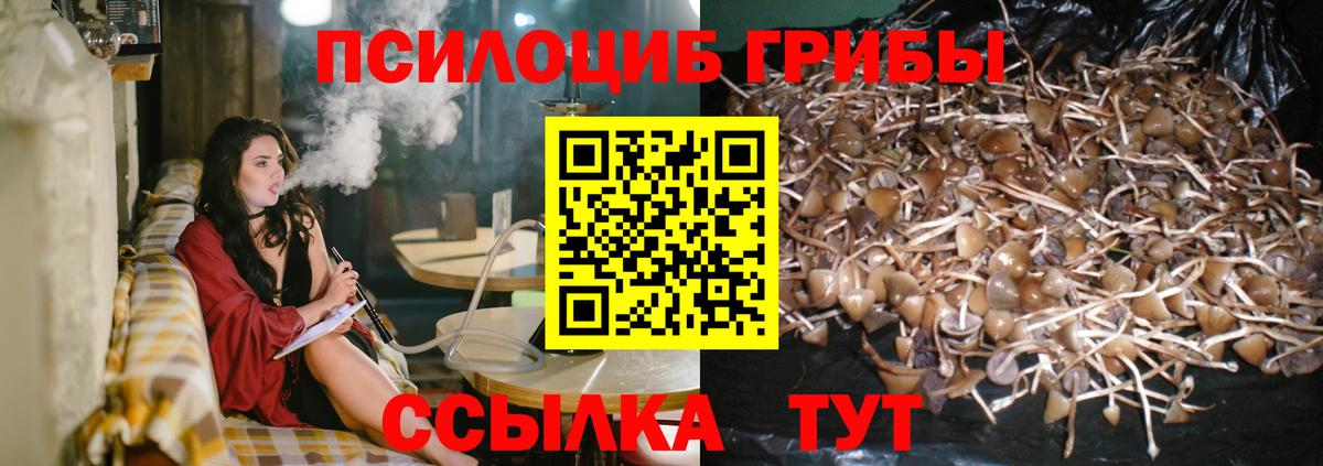 Ульяновск  Псилоцибиновые грибы MAGIC MUSHROOMS  Вход с VPN  Галлюциногенные грибы ЛСД 