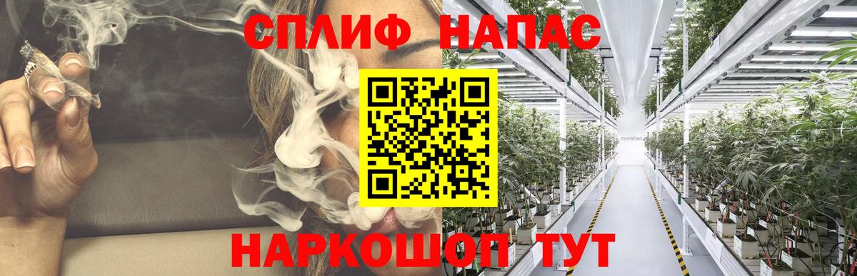 Шишки марихуана план Ульяновск